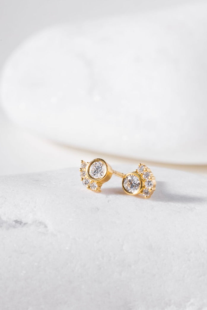 Puces d'oreilles Radiant