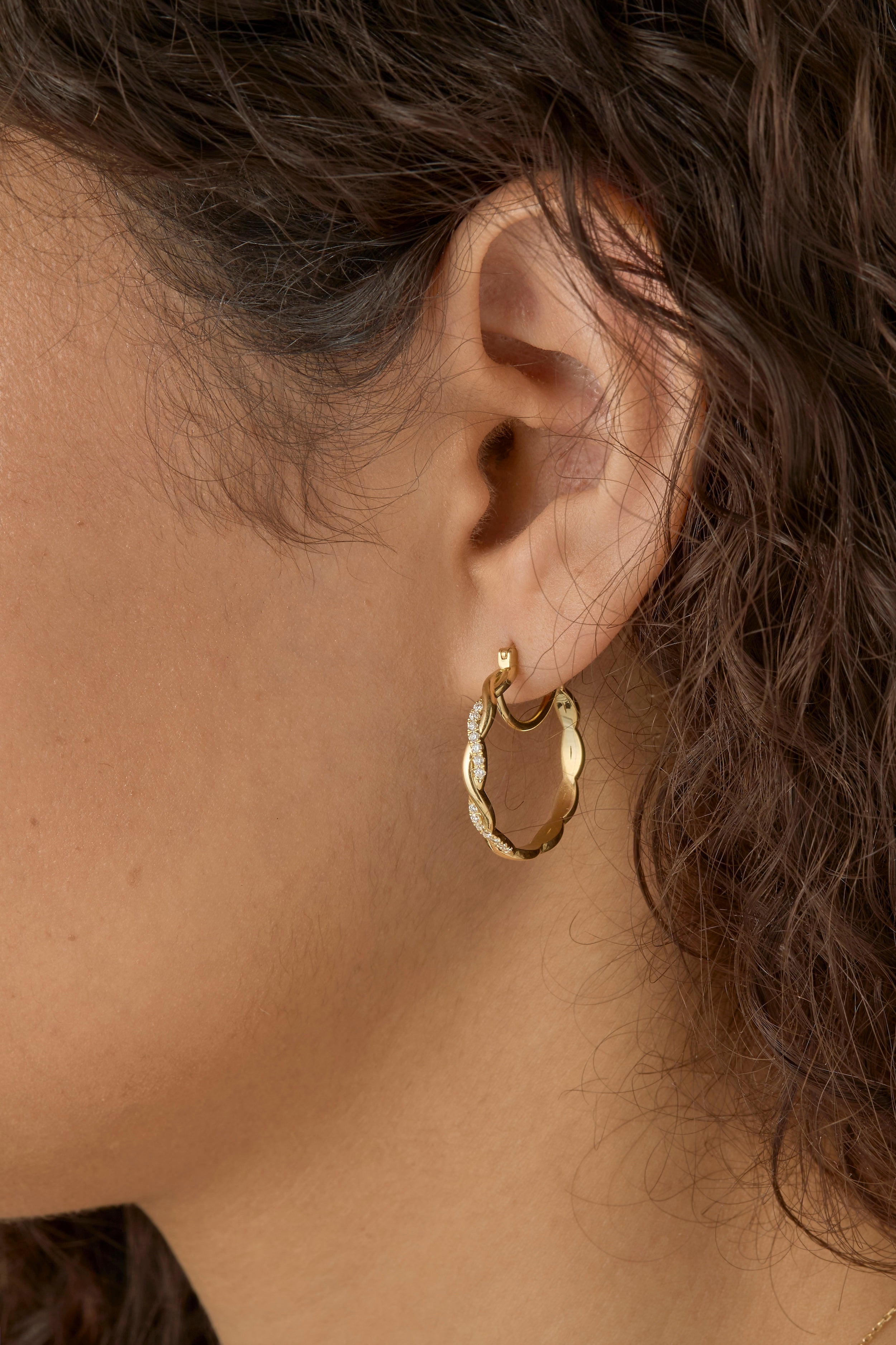 Créoles Clématites